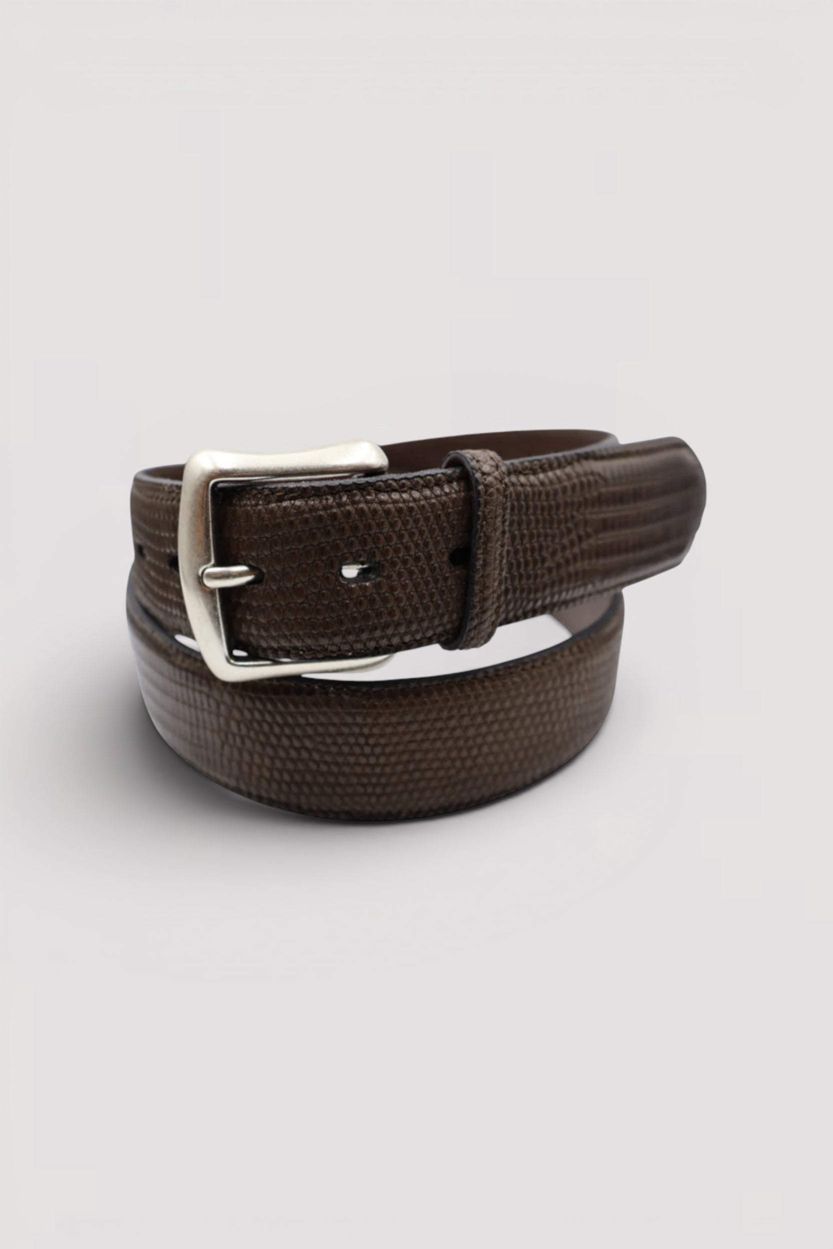 Lizard Belt